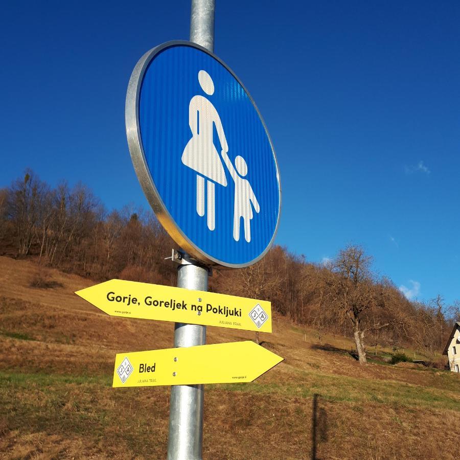 Apartament 238 Spodnje Gorje Zewnętrze zdjęcie